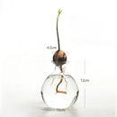 GobekUsa Avocado Seed Starter Hydroponic Vase