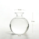 GobekUsa Avocado Seed Starter Hydroponic Vase