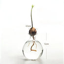 GobekUsa Avocado Seed Starter Hydroponic Vase