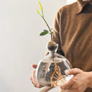 GobekUsa Avocado Seed Starter Hydroponic Vase