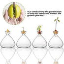 GobekUsa Avocado Seed Starter Hydroponic Vase