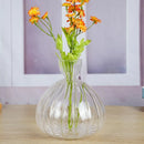 GobekUsa Avocado Seed Starter Hydroponic Vase