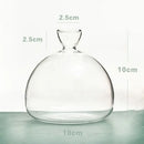 GobekUsa Avocado Seed Starter Hydroponic Vase