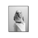 GobekUsa Bathroom Wall Art: Cute Animal Canvas Posters