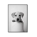 GobekUsa Bathroom Wall Art: Cute Animal Canvas Posters