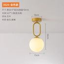 GobekUsa Black Gold Glass Ceiling Lamp: Modern Nordic LED Lighting Fixtures