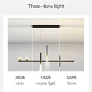 GobekUsa Black Gold Pendant Lamp | Modern Indoor Light for Dining Room & Kitchen