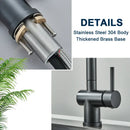 GobekUsa Black Gourmet Kitchen Faucet with Flexible Sprayer and Dual Nozzle