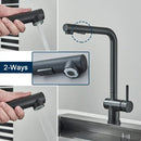 GobekUsa Black Gourmet Kitchen Faucet with Flexible Sprayer and Dual Nozzle