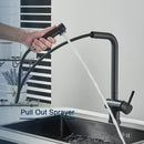 GobekUsa Black Gourmet Kitchen Faucet with Flexible Sprayer and Dual Nozzle