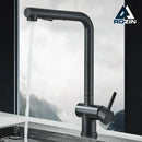 GobekUsa Black Gourmet Kitchen Faucet with Flexible Sprayer and Dual Nozzle