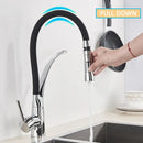 GobekUsa Black Hose Kitchen Faucet with Single Handle and Pull Down Sprayer