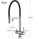 GobekUsa Black Kitchen Faucet with Pull Down Sprayer and 2-in-1 Purification Technology