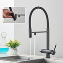 GobekUsa Black Kitchen Faucet with Pull Down Sprayer and 2-in-1 Purification Technology