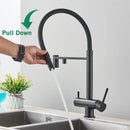 GobekUsa Black Kitchen Faucet with Pull Down Sprayer and 2-in-1 Purification Technology