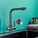 GobekUsa Black Kitchen Faucet with Rotatable Water Purification Feature