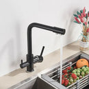 GobekUsa Black Kitchen Faucet with Rotatable Water Purification Feature