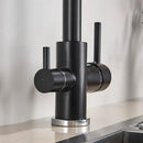 GobekUsa Black Kitchen Faucet with Rotatable Water Purification Feature