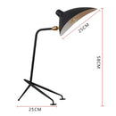 GobekUsa Black Nordic Floor Lamp for Living Room, Designer Aluminum Standing Light