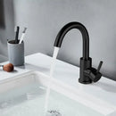 GobekUsa Black Stainless Steel Bathroom Faucet - Single Handle