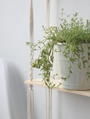 Minimalist white boho macrame wall shelf bedroom two tier wood decor by Decorbites