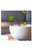 GobekUsa Ceramic Flower Pot with Tripod Stand