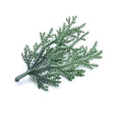 Green feathery artificial foliage sprigs home decor living room accent by Decorbites