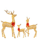 Golden illuminated decorbites christmas reindeer – outdoor led light by Decorbites