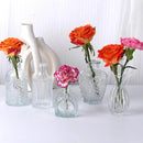 GobekUsa Clear Glass Bud Vase Bulk Set