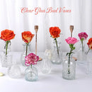 GobekUsa Clear Glass Bud Vase Bulk Set