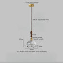 GobekUsa Clear Glass LED Pendant Light for Bedside Living Dining Decor