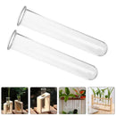 GobekUsa Clear Glass Test Tube Vases for Plants