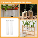 GobekUsa Clear Glass Test Tube Vases for Plants