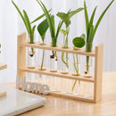 GobekUsa Clear Glass Test Tube Vases for Plants