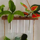 GobekUsa Clear Glass Test Tube Vases for Plants