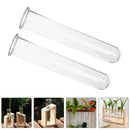 Minimalist wood and glass test tube vases living room plant decor by Decorbites