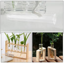 Minimalist wood and glass test tube vases living room plant decor by Decorbites