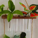 Minimalist wood and glass test tube vases living room plant decor by Decorbites