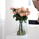 GobekUsa Clear Nordic Plastic Vase for Hydroponic Flowers