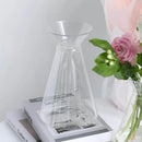 GobekUsa Clear Nordic Plastic Vase for Hydroponic Flowers
