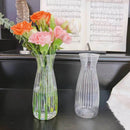 GobekUsa Clear Nordic Plastic Vase for Hydroponic Flowers