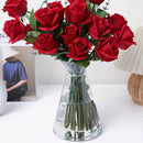 GobekUsa Clear Nordic Plastic Vase for Hydroponic Flowers