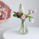 GobekUsa Clear Nordic Plastic Vase for Hydroponic Flowers
