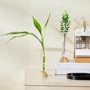 Clear nordic plastic vase with vertical ridges for living room