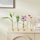 Minimalist wood and plastic test tube vase living room decor