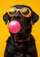 Vibrant colorful dog sunglasses canvas wall art living room decor