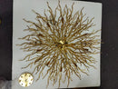 GobekUsa Crystal Chandelier with Raindrop Crystals