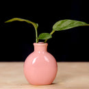 GobekUsa Cute Mini Ceramic Flower Vase Pot