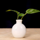 GobekUsa Cute Mini Ceramic Flower Vase Pot