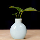 GobekUsa Cute Mini Ceramic Flower Vase Pot